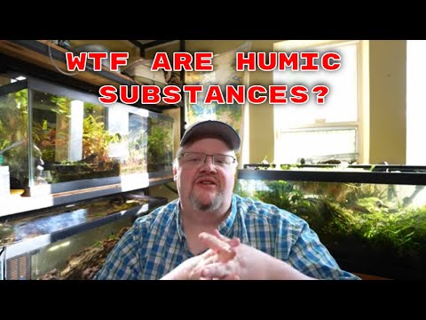 Nature's SECRET Weapon Against Fish Disease? Under Humic substances are an incredible part of nature that naturally protect against bacteria, parasites