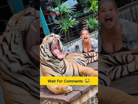 जनतेचा आवाज 🎙️📢हसा आणि हसवत राहा ❤️‍🩹😂 subscribeकरून ठेवा, हसवल्याशिवाय राहणार नाही 😁#commentreading