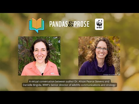 Pandas and Prose with Alison Pearce Stevens