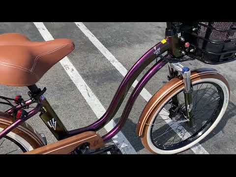 Electric Bike Company - Project Beautiful Bike - Twisted Guava