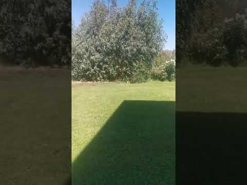 Video der Unterkunft