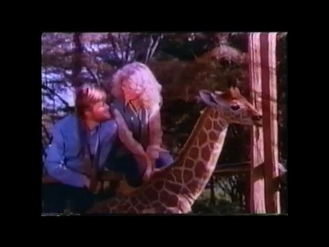 The Last Giraffe'