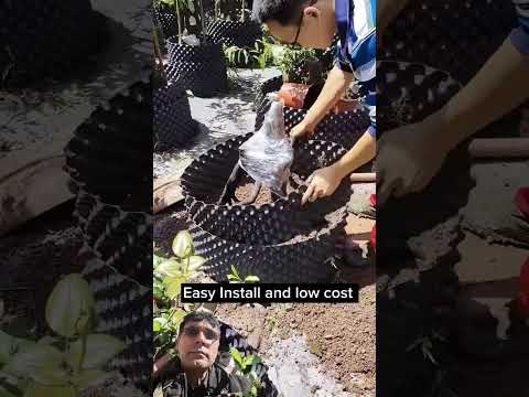 how to forming #gardening #fruit #garden #farming #consejosdejar #טיפיםלגינון #посадка #forageharves