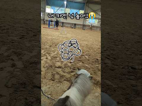 저건 점프 말고 비행이잖아~!🫢✈️That’s not a jump, that’s flying🦄🎠