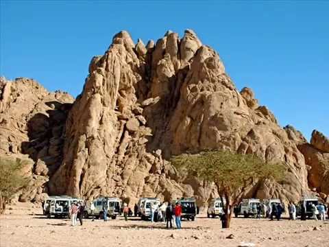 Sharm Tours in Sinai, Day Trips, Excursions in From Sharm