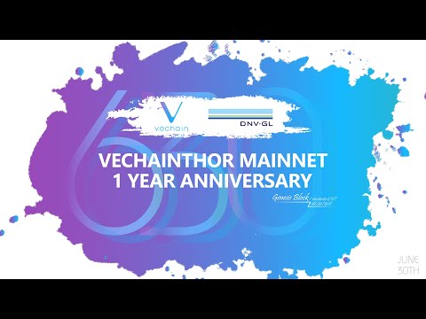 One of the world's leading certification bodies DNV GL speaks out about VeChainThor Blockchain after using the public blockchain for one year