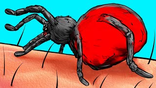 Что произойдет с вашим телом, если вас укусит паук