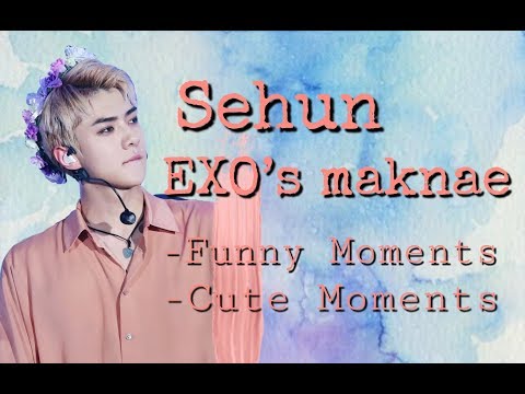 Sehun EXO's Maknae