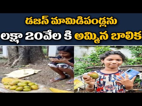 A person bought a dozen Mangoes from a girl for Rs 1.2 Lakh. This is the reason A person bought a dozen Mangoes from a girl for Rs 1.2 Lakh. This is the reason