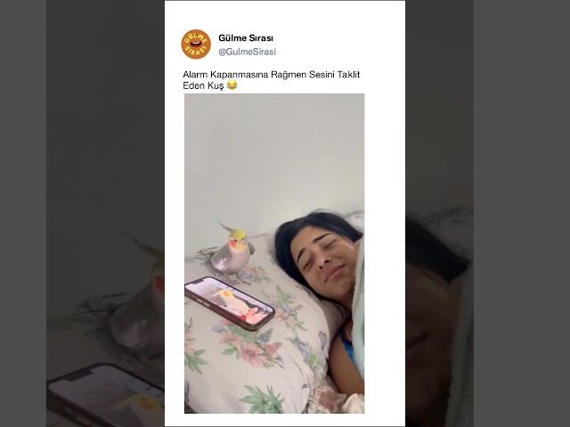Alarm Sesini Taklit Eden Kuş