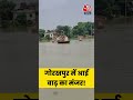 UP Flood: गोरखपुर में आई बाढ़ का मंजर! देखिए #gorakhpur #shorts  - 00:28 min - News - Video