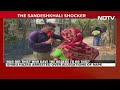 Sandeshkhali Violence | Sheikh Shahjahan At The Heart Of Sandeshkhali Unrest  - 05:30 min - News - Video