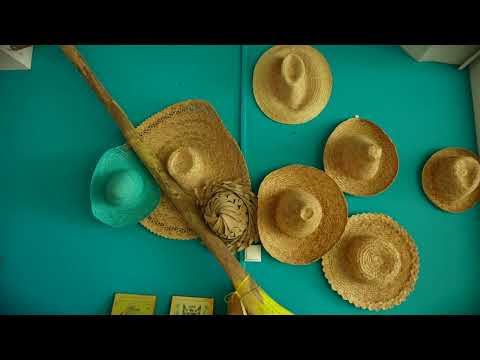 VidĂ©o de lâhĂ©bergement
