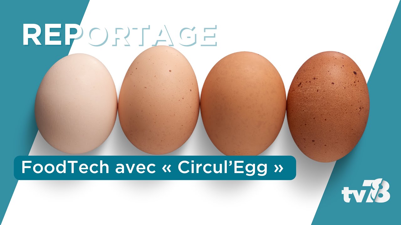 Paris-Saclay SPRING 50 – Foodtech : Circul’egg