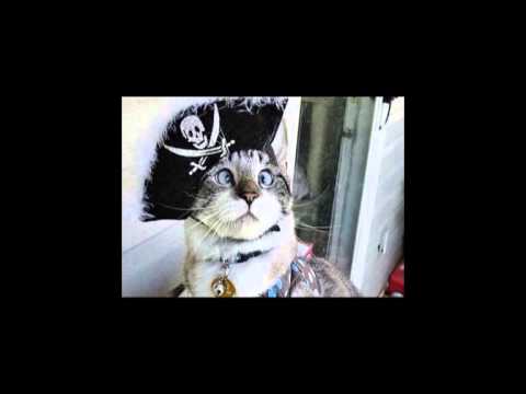 Le Chat qui louche - Les Nonnes Troppo