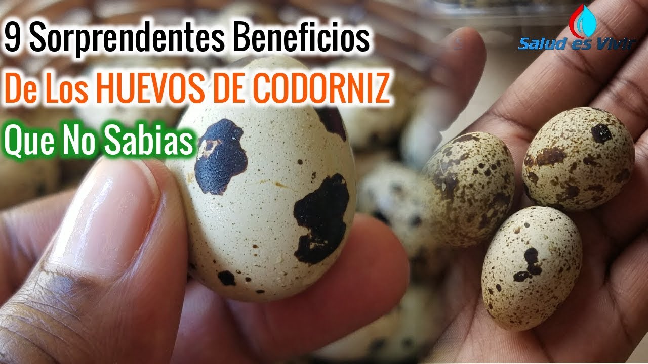 Cuánto tiempo hay que cocer los huevos de codorniz