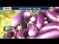 వంగలో కాయ తొలుచు పురుగు అరికట్టే విధానం | Prevention Of Ringworm In Brinjal Crop | Matti Manishi - 04:27 min - News - Video