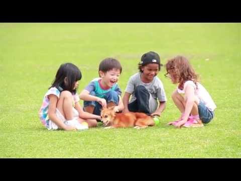 かりゆし58「オリーブ」