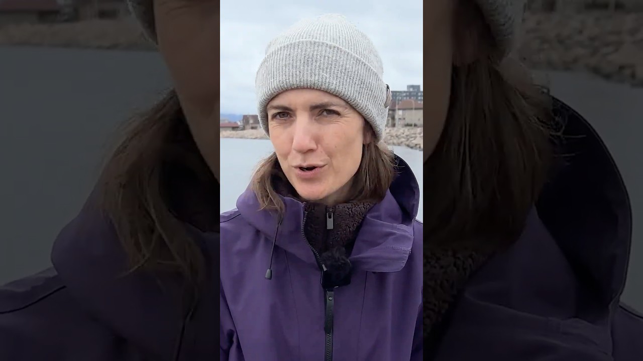 On gèle! C’est normal? | Vidéojournal