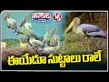 Siberian Migratory Birds Flocks Are Not Coming From Two Years At Khammam | V6 Weekend Teenmaar