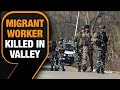 Terrorists killed a migrant worker from Bihar in a targeted attack in the Kashmir valley | News9