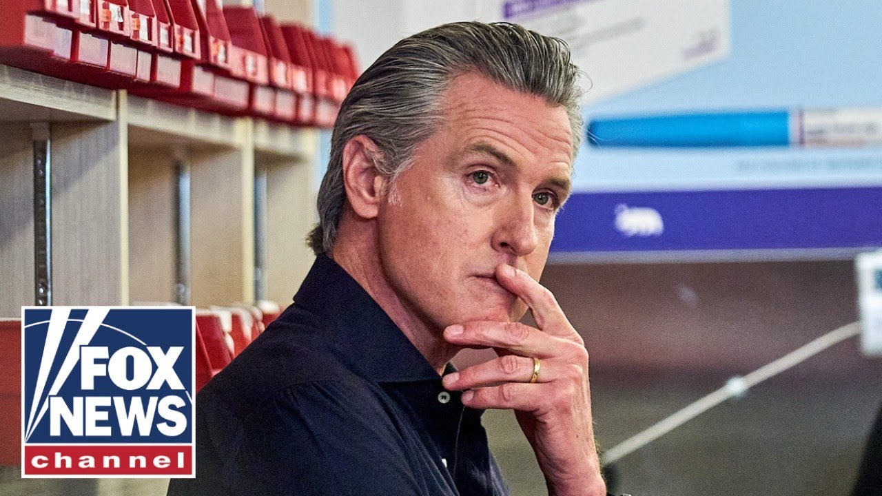 DNC chair MOCKED for claiming party 'won back' young men: 'FANTASY LAND'