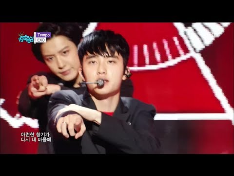 EXO (엑소) - TEMPO (템포) Stage Mix 무대모음 교차편집