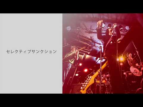 postman -セレクティブサンクション / Selective Sanction(Official Audio)