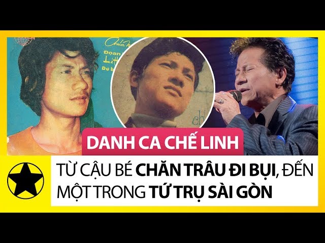 Tiểu Sử Danh Ca Chế Linh || Cậu Bé Chăn Trâu Bỏ Nhà Đi Bụi Để Rồi Trở Thành “Tứ Trụ Sài Gòn”