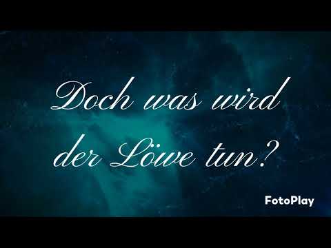 Buchtrailer "Bound beyond your dreams"