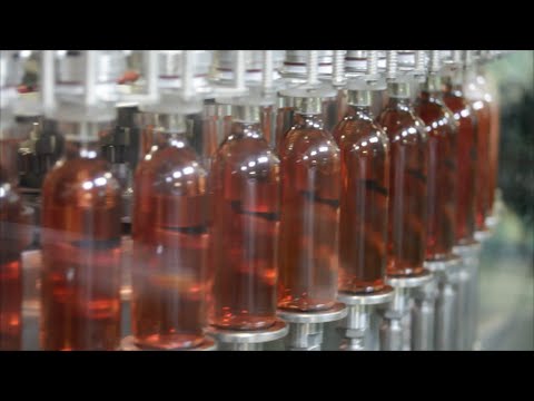 Upload mp3 to YouTube and audio cutter for BERTOLASO - Automatic bottling line for still wines into glass bottles at the speed of 20.000 bph. download from Youtube