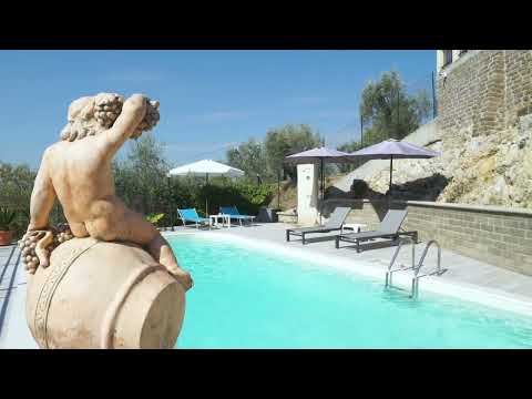 Video realizado por la propiedad