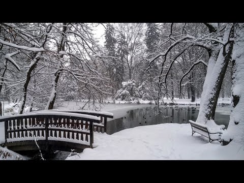 Deerstet-Music Productions - Prvi snijeg u Maksimiru 