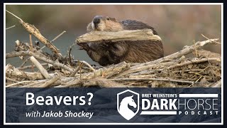 Beavers? Bret Weinstein Speaks with Jakob Shockey on the Darkhorse Podcast