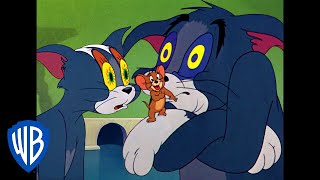 Tom a Jerry - Ospalej Tom