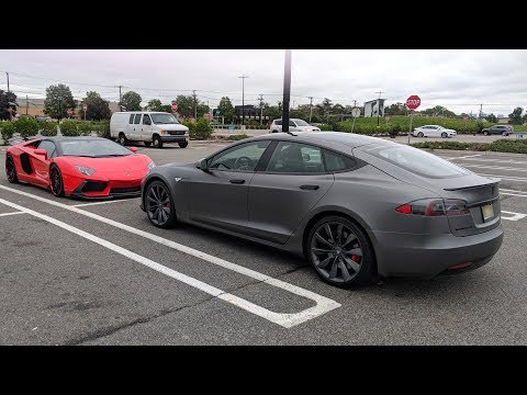 Apollo is Back - My Tesla Repair Process!