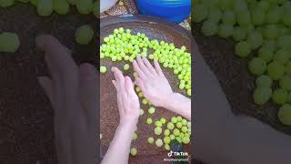 cách làm mứt chùm ruột