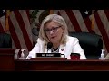 President Trump abused your trust - Liz Cheney to Trump supporters - 01:36 min - News - Video