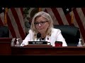 President Trump abused your trust - Liz Cheney to Trump supporters