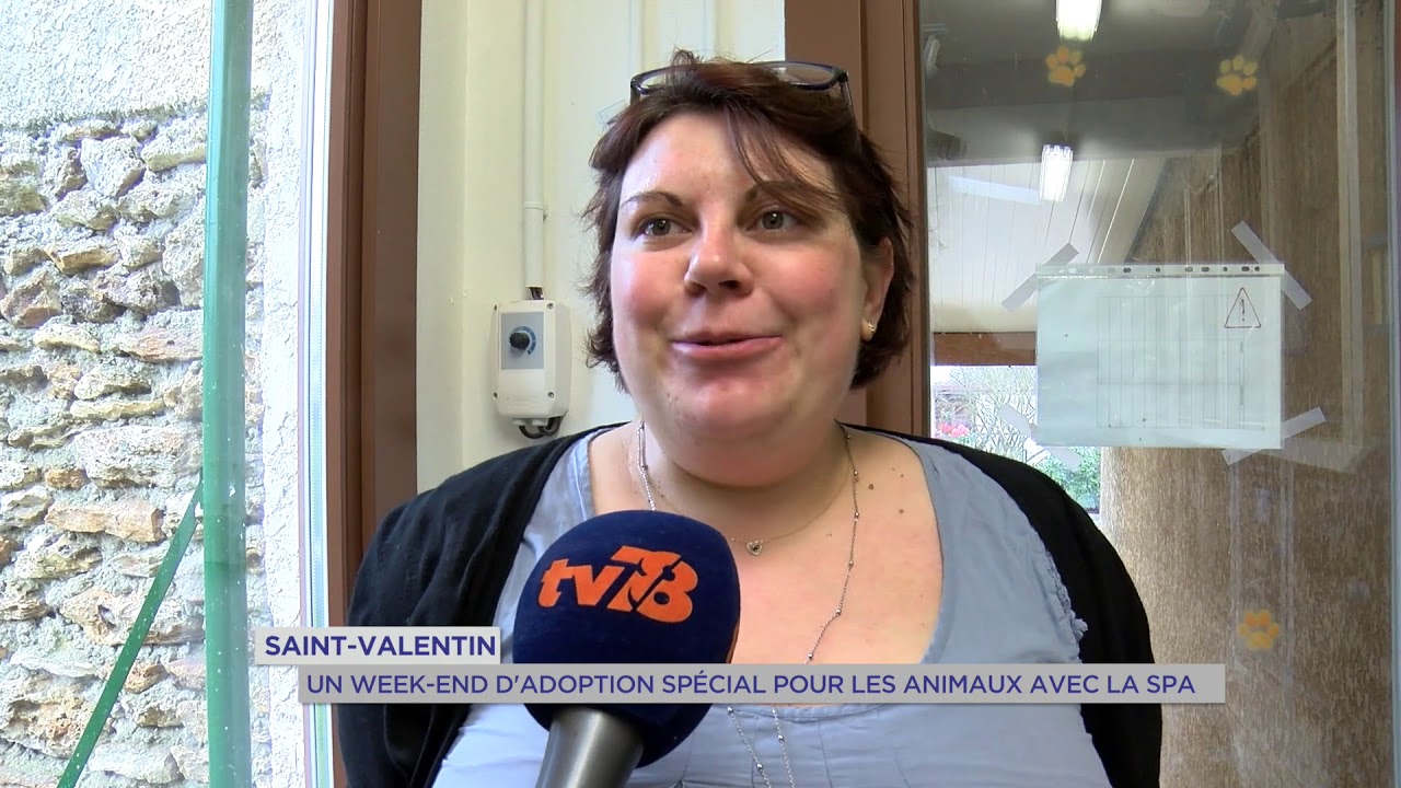 Yvelines | St Valentin : Un week-end d’adoption spécial pour les animaux avec la SPA