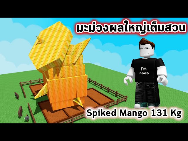 Spiked Mango มะม่วงหนามผลใหญ่เต็มสวน 131 กิโล Roblox Grow a Garden
