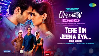 Tere Bin Jeena Kya (Male Version) - M M Kreem (Operation Romeo)
