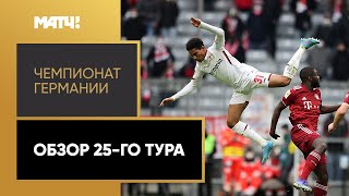 Чемпионат Германии. Обзор 25-го тура