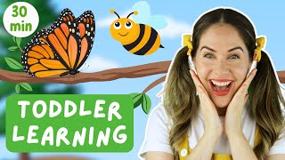 Bugs in the Garden! 🐝 Toddler Learning | Singing, movement & language learning fun with Ms Catherine