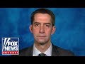 Tom Cotton: Biden pussyfooted around this for years