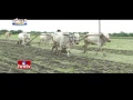 Jordar News: Poor farmer gets Rs. 16 lakh electricity bill