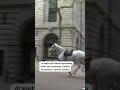 Horses run loose in central London  - 00:17 min - News - Video