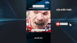 TỔNG HỢP NHỮNG VIDEO HAY NHẤT TRÊN KÊNH CẬN. P2 #xuhuong #shorts #viral #khampha #kienthuc