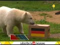 Elephant has bad news for German fans