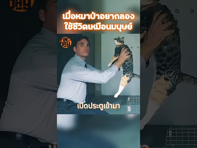เมื่อหมาป่าอยากลองใช้ชีวิตเหมือนมนุษย์ #shorts #สปอยหนัง #หนัง #ฉากหนัง #สปอย #หนังสนุก